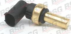 BSG BSG 60-840-012 - Датчик, температура охлаждающей жидкости autosila-amz.com