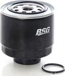 BSG BSG 62-130-003 - Топливный фильтр autosila-amz.com