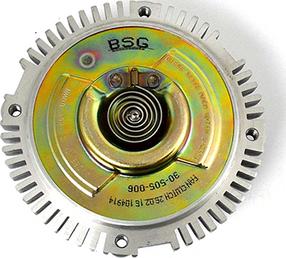 BSG BSG 30-505-006 - Вентилятор, охлаждение двигателя autosila-amz.com