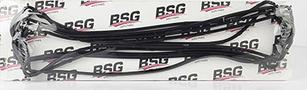 BSG BSG 30-116-063 - Прокладка, крышка головки цилиндра autosila-amz.com