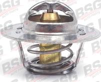 BSG BSG 30-125-016 - Термостат охлаждающей жидкости / корпус autosila-amz.com