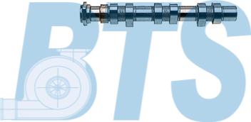 BTS Turbo CP11980 - Распредвал autosila-amz.com