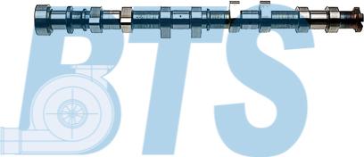 BTS Turbo CP11122 - Распредвал autosila-amz.com