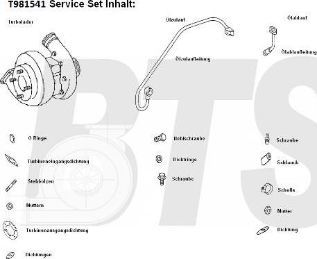 BTS Turbo T981541 - Турбина, компрессор autosila-amz.com