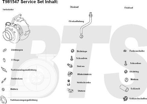 BTS Turbo T981547 - Турбина, компрессор autosila-amz.com