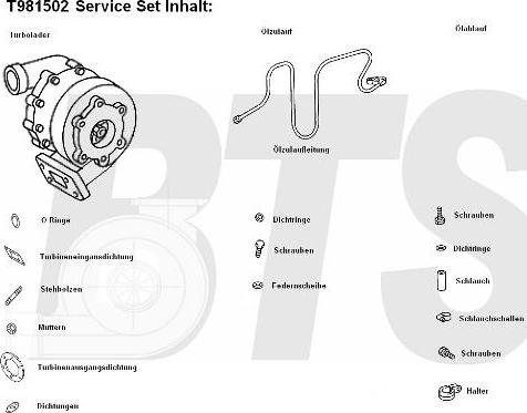 BTS Turbo T981502 - Турбина, компрессор autosila-amz.com