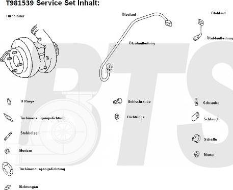 BTS Turbo T981539 - Турбина, компрессор autosila-amz.com