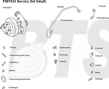 BTS Turbo T981534 - Турбина, компрессор autosila-amz.com