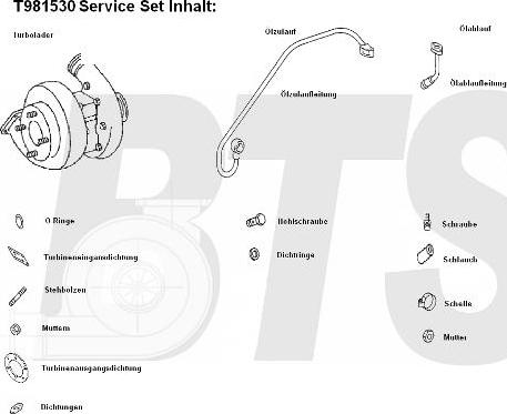 BTS Turbo T981530 - Турбина, компрессор autosila-amz.com