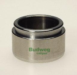Budweg Caliper 234520 - Поршень, корпус скобы тормоза autosila-amz.com