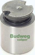 Budweg Caliper 233841 - Поршень, корпус скобы тормоза autosila-amz.com
