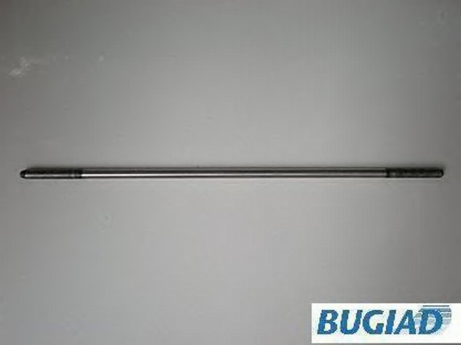 Bugiad BSP20420 - Центральный выключатель, система сцепления autosila-amz.com