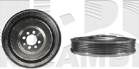 Caliber 87493 - Шкив коленчатого вала autosila-amz.com