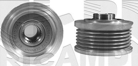 Caliber 87513 - Шкив генератора, муфта autosila-amz.com