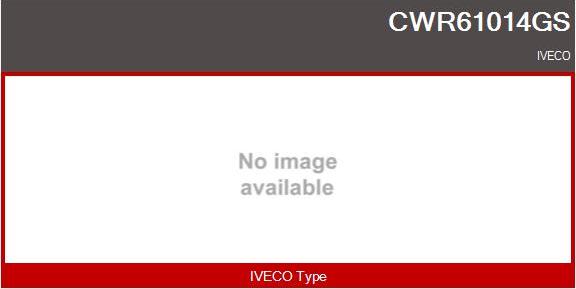 Casco CWR61014GS - Выключатель, стеклоподъемник autosila-amz.com