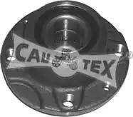 Cautex 461010 - Ступица колеса, поворотный кулак autosila-amz.com