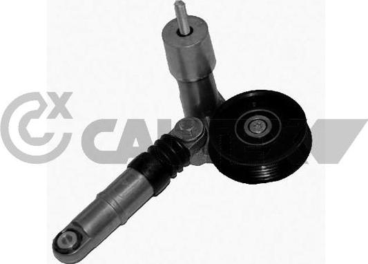 Cautex 461351 - Натяжитель, поликлиновый ремень autosila-amz.com