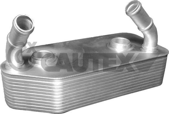Cautex 462521 - Масляный радиатор, двигательное масло autosila-amz.com