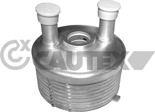 Cautex 462523 - Масляный радиатор, двигательное масло autosila-amz.com