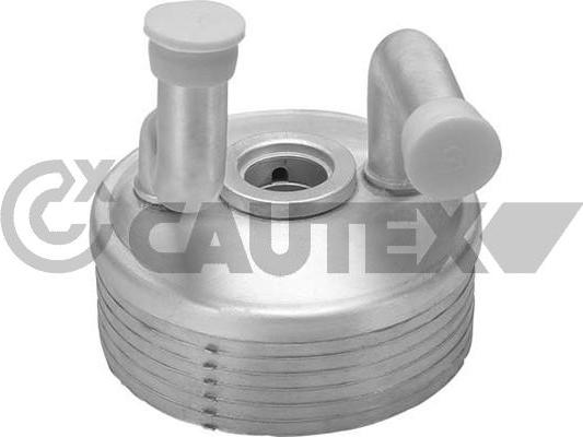 Cautex 462522 - Масляный радиатор, двигательное масло autosila-amz.com