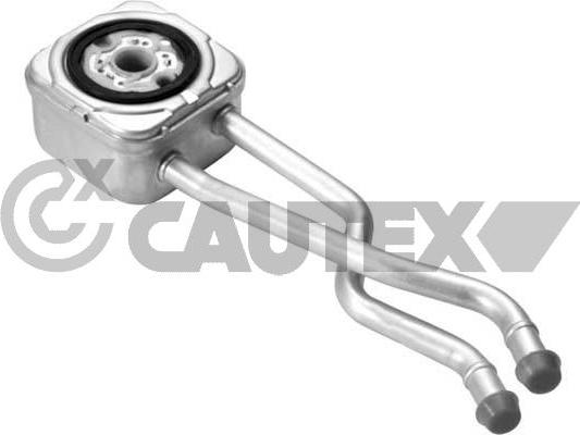Cautex 462527 - Масляный радиатор, двигательное масло autosila-amz.com