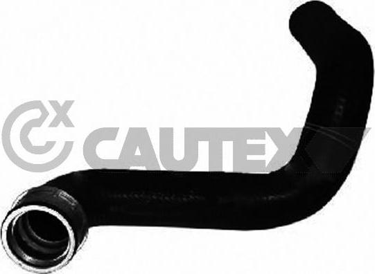 Cautex 486545 - Трубка, нагнетание воздуха autosila-amz.com