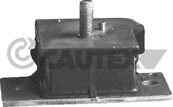 Cautex 060662 - Подушка, опора, подвеска двигателя autosila-amz.com