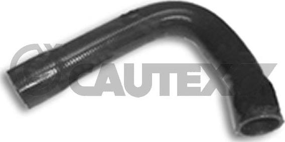 Cautex 036430 - Шланг радиатора autosila-amz.com