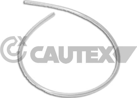Cautex 036477 - Шланг радиатора autosila-amz.com