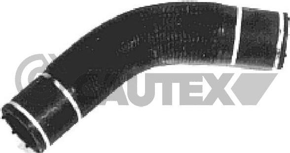 Cautex 036012 - Шланг радиатора autosila-amz.com