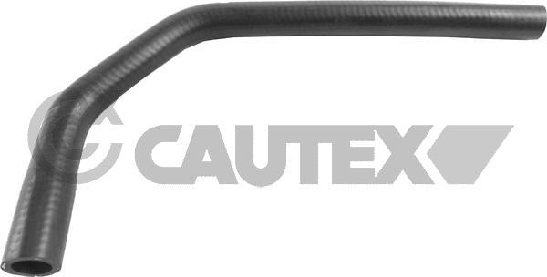 Cautex 036740 - Шланг радиатора autosila-amz.com