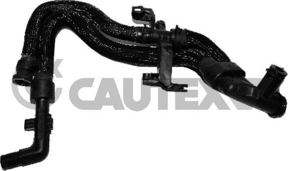 Cautex 036776 - Шланг радиатора autosila-amz.com
