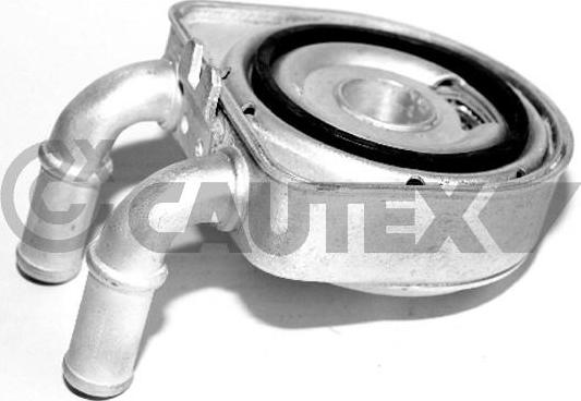 Cautex 031435 - Масляный радиатор, двигательное масло autosila-amz.com