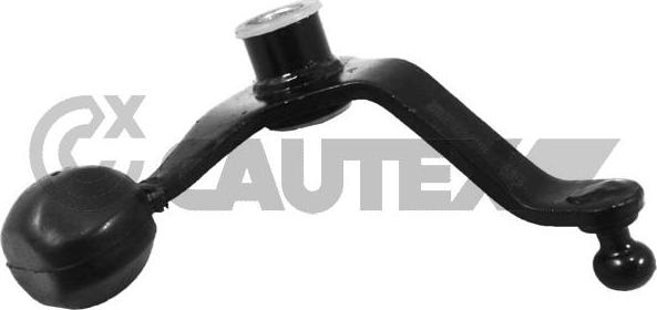Cautex 031586 - Шток вилки переключения передач autosila-amz.com