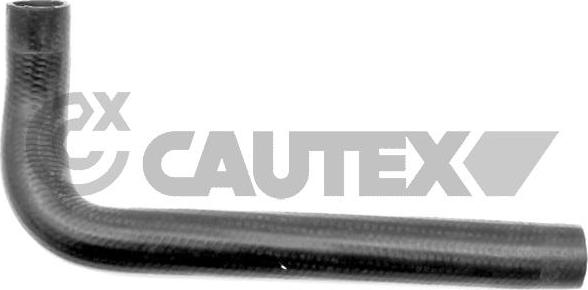Cautex 031081 - Шланг радиатора autosila-amz.com