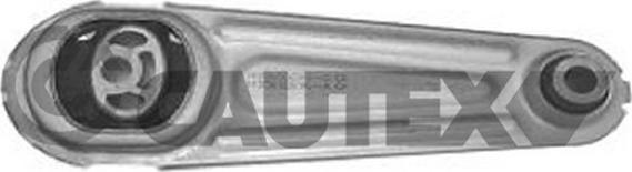 Cautex 021505 - Подушка, опора, подвеска двигателя autosila-amz.com