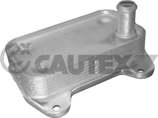 Cautex 181096 - Масляный радиатор, двигательное масло autosila-amz.com