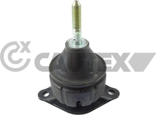 Cautex 759798 - Подушка, опора, подвеска двигателя autosila-amz.com