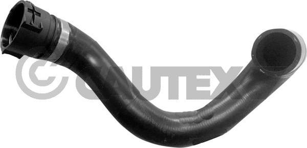 Cautex 754121 - Шланг радиатора autosila-amz.com