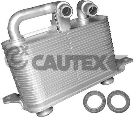 Cautex 751731 - Масляный радиатор, двигательное масло autosila-amz.com