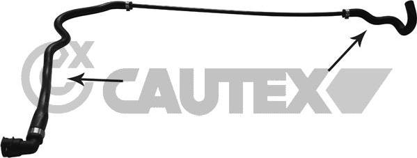 Cautex 753907 - Шланг радиатора autosila-amz.com