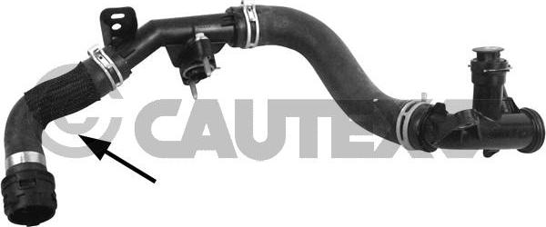 Cautex 753894 - Трубка охлаждающей жидкости autosila-amz.com