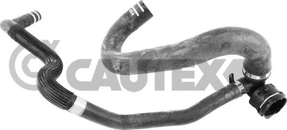 Cautex 753895 - Шланг радиатора autosila-amz.com
