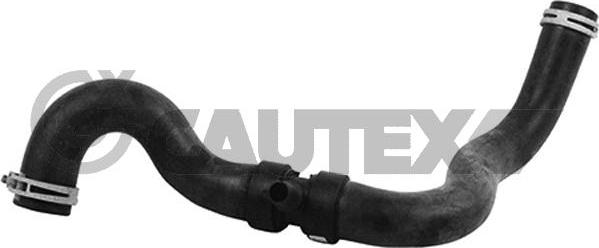 Cautex 753810 - Шланг радиатора autosila-amz.com