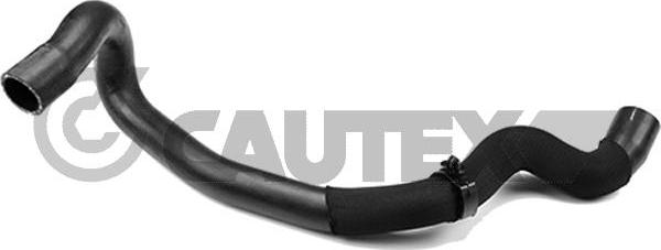 Cautex 757059 - Шланг радиатора autosila-amz.com