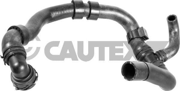 Cautex 757836 - Шланг радиатора autosila-amz.com