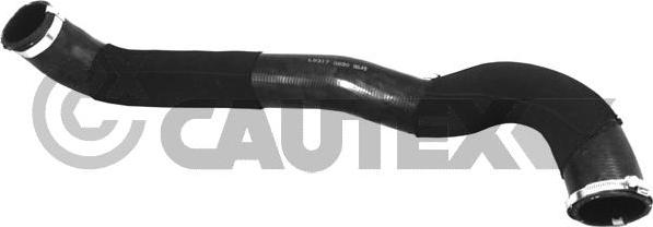 Cautex 757346 - Трубка, нагнетание воздуха autosila-amz.com