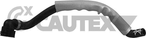 Cautex 764962 - Шланг радиатора autosila-amz.com