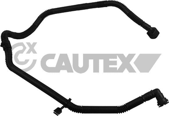 Cautex 764613 - Шланг радиатора autosila-amz.com