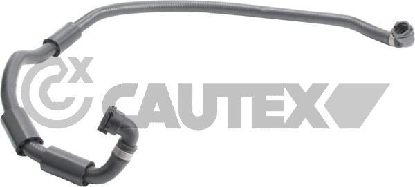 Cautex 765529 - Шланг радиатора autosila-amz.com